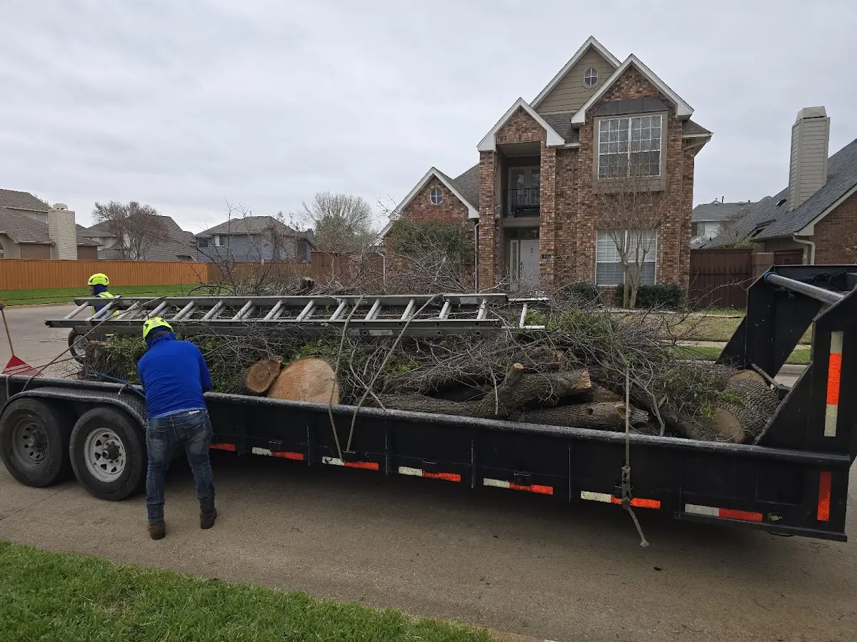 Expert Lot Clearing with proper safety equipment in East Hanover